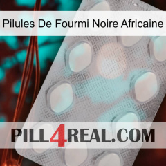African Black Ant Pills 16